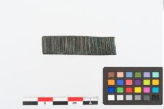 Foto von Bronzeraspel (NHMW-PRAE-024989)